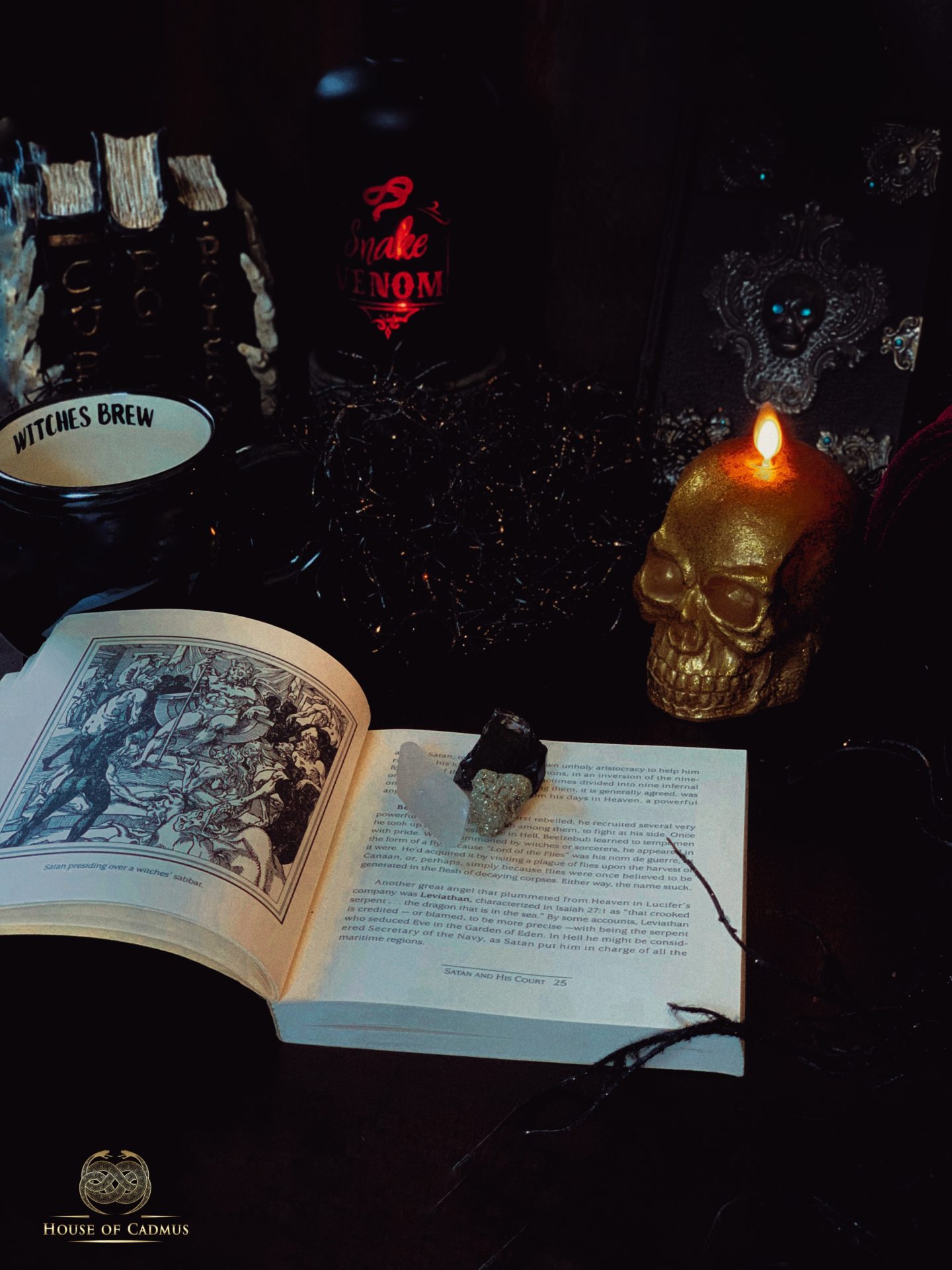 13 Wickedly Witchy Books - House of Cadmus